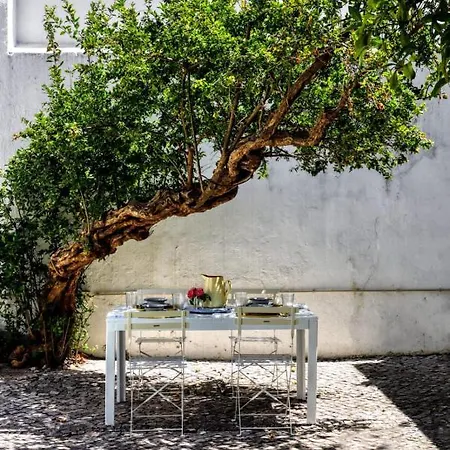Secret Garden In Alfama Lisboa
